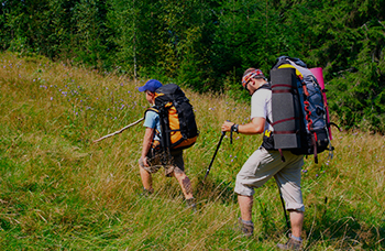 Trekking In Ranakpur