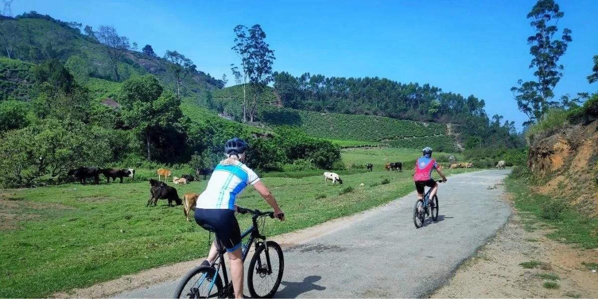 bicycle-tour-kerala