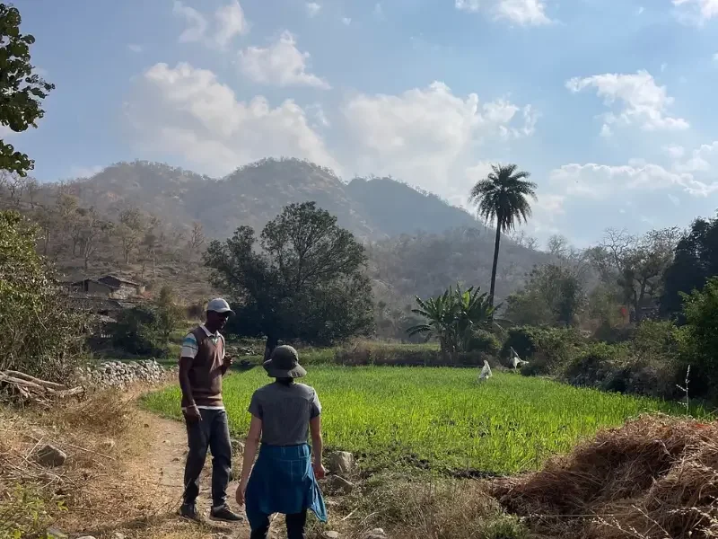 farm-walk-rajasthan farm-walk-rajasthan