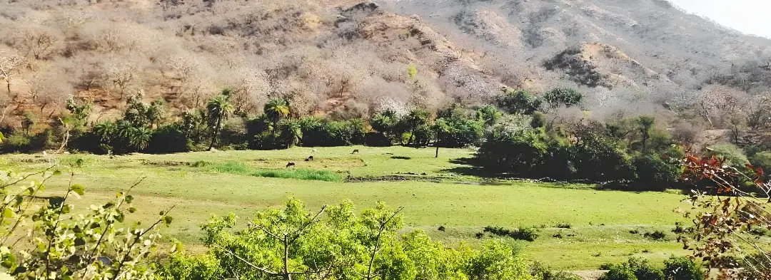 kumbhalgarh-thandi-beri-trekking