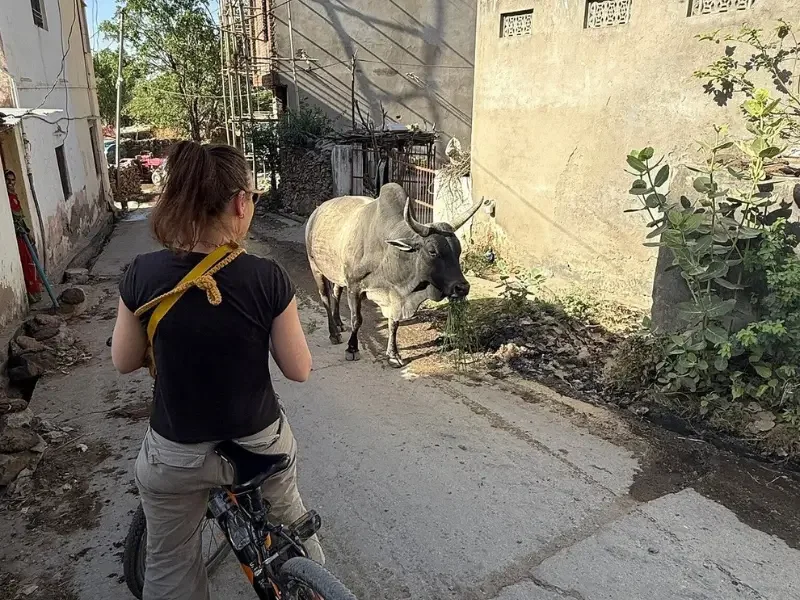 village-cycling-tour-rajasthan village-cycling-tour-rajasthan