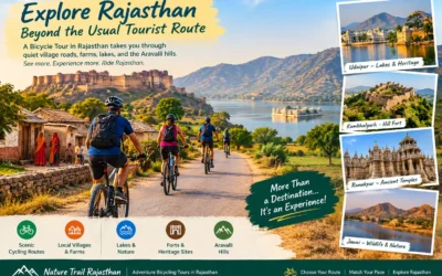 Bicycle Tour in India: Exploring Rajasthan On Two Wheels